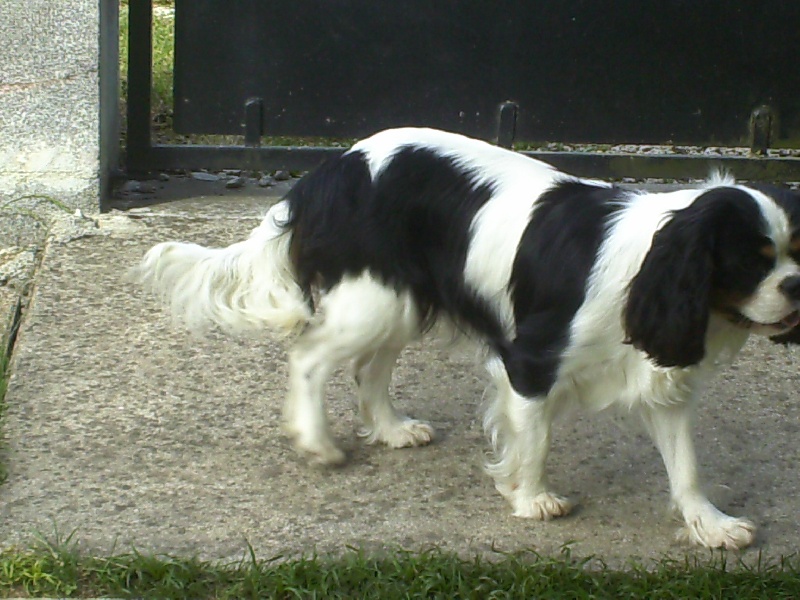 Gerry du val de la Ferrite