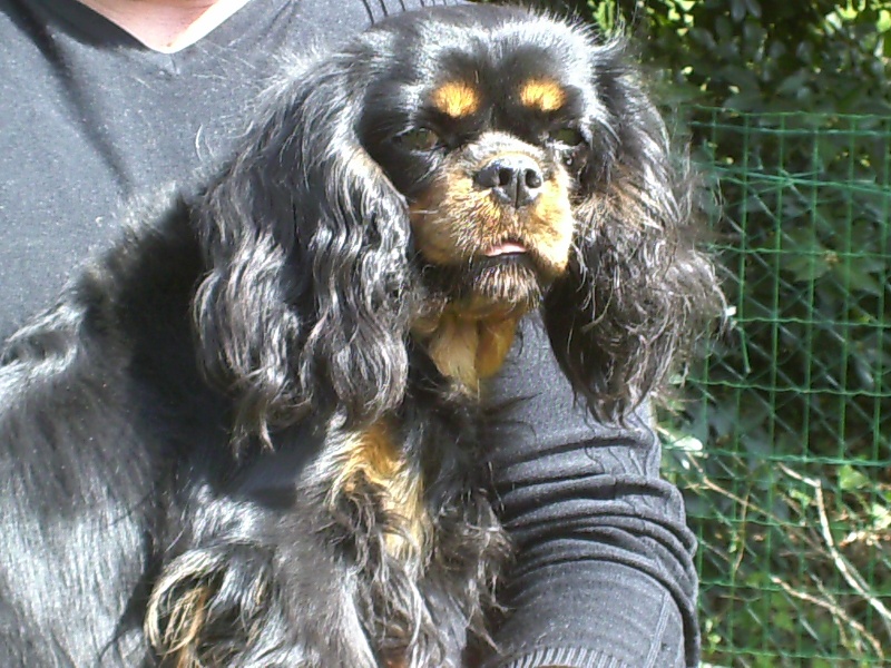 Everly du val de la Ferrite