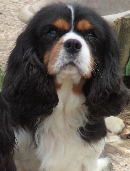 Fantine du val de la Ferrite