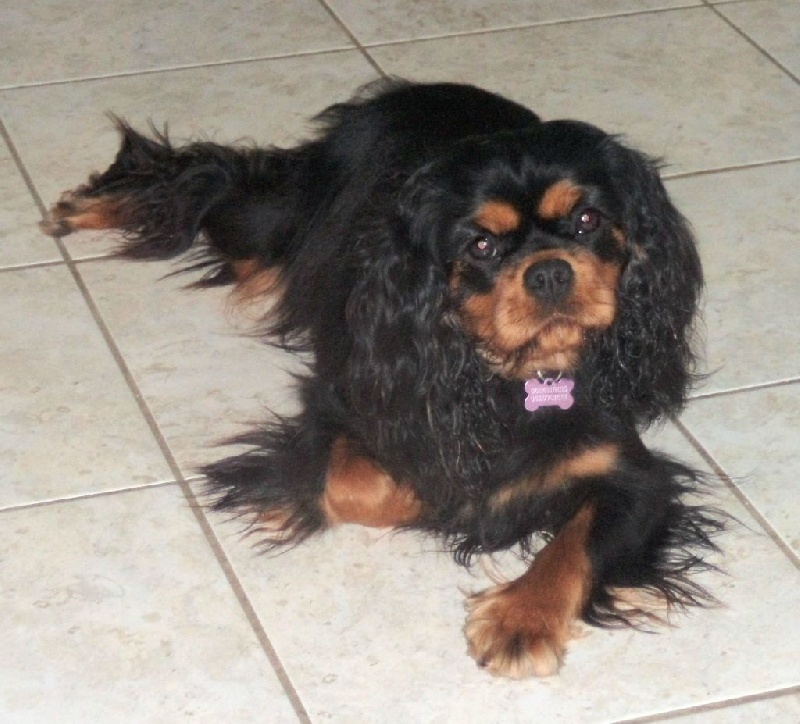 Lizeth du val de la Ferrite