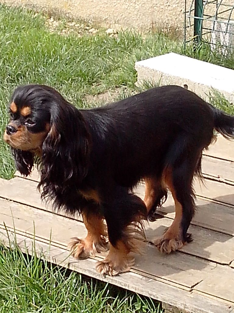 Malonga du val de la Ferrite